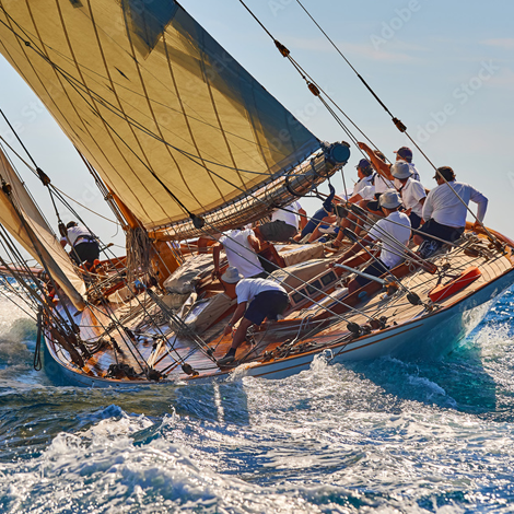 Regatta : Protection et qualité pour vos aventures en plein air