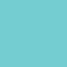 311 - Coquille de patelle