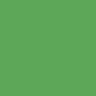 501 - Vert pois
