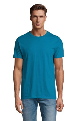 RÉGENT - 235 - BLEU CANARD