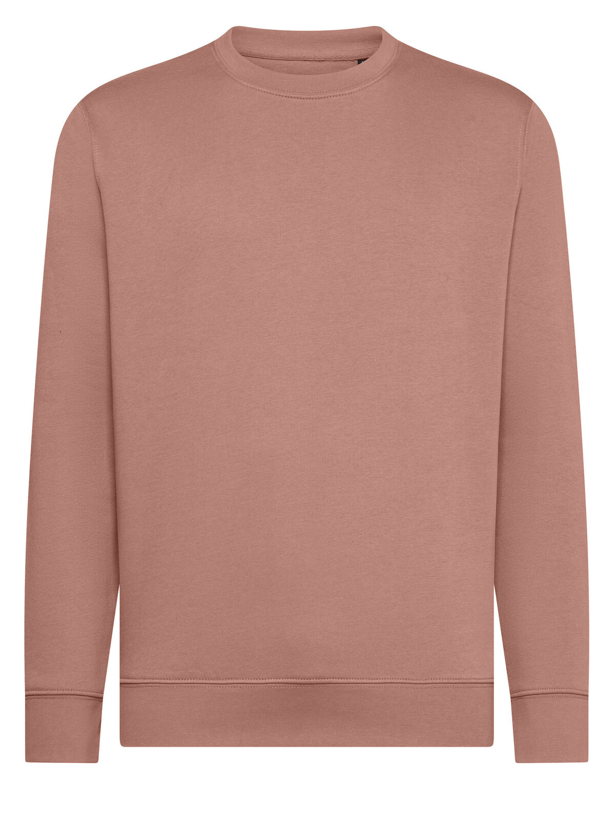 Gingembre - DP - Rose Poudré