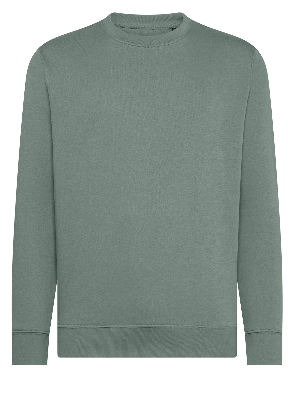 Gingembre - DU - Vert Poussiéreux