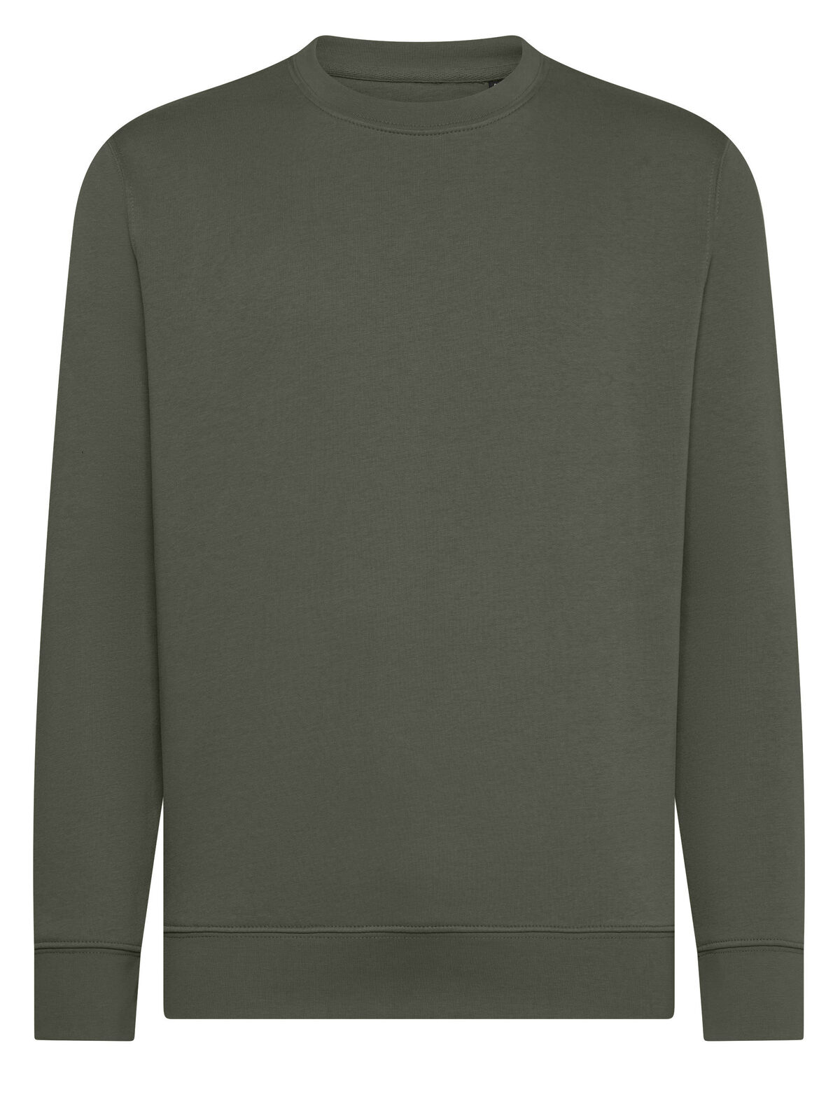 Gingembre - EG - Vert Terre