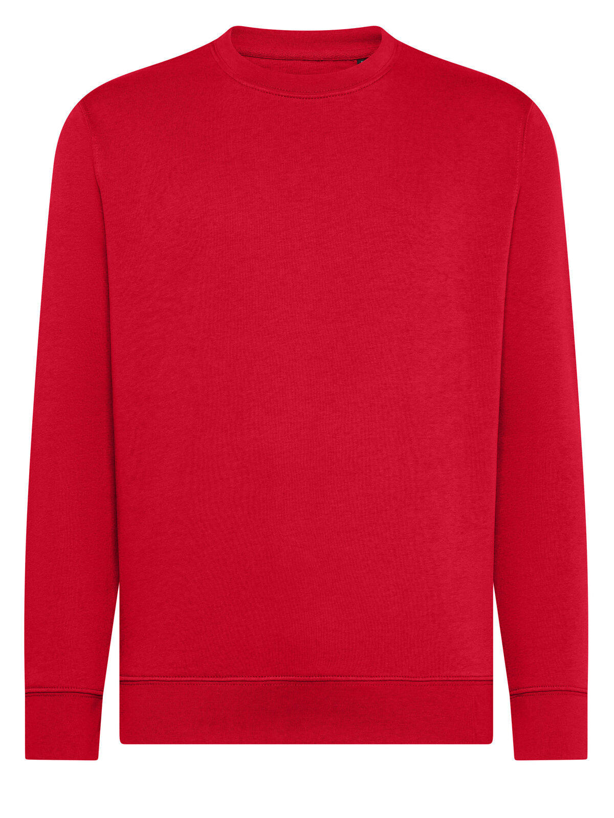 Gingembre - RD - Rouge