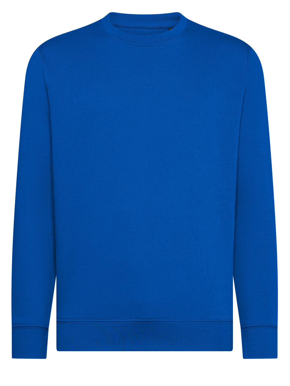 Gingembre - RB - Bleu royal