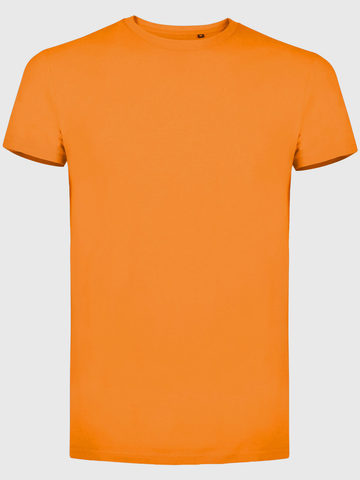 Évolution biologique T - 