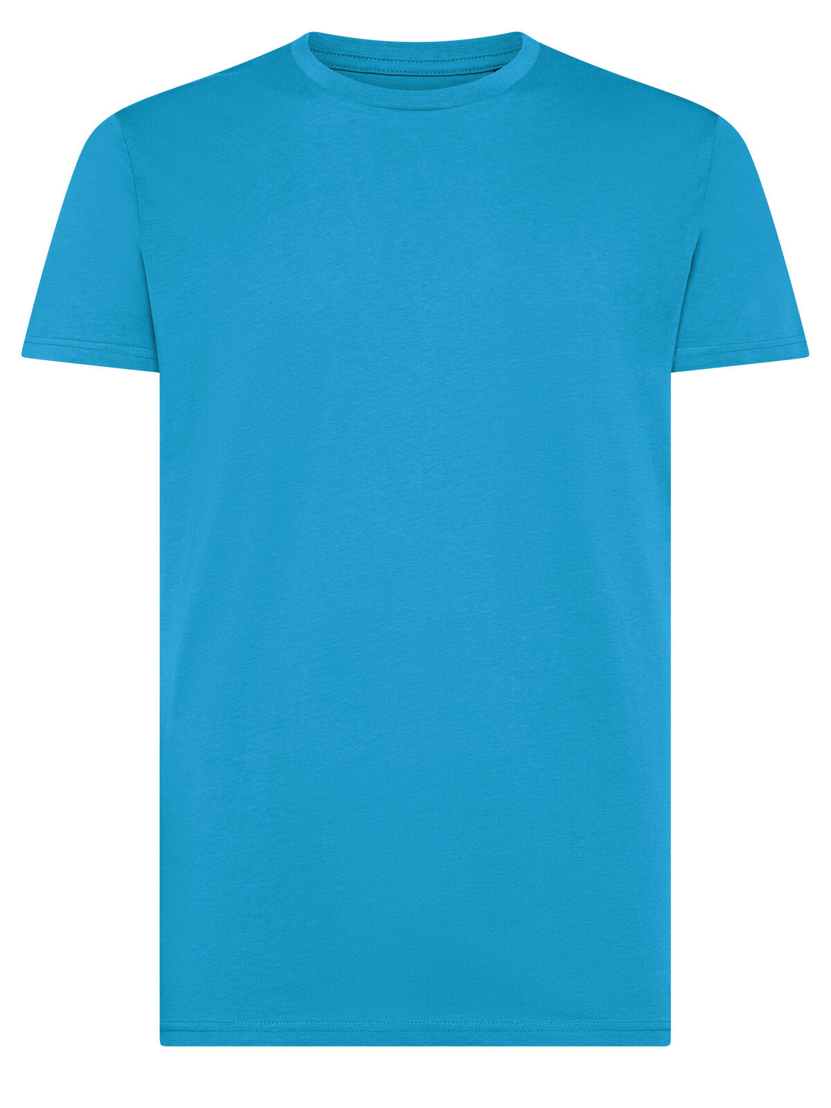 Évolution biologique T - TU - TURQUOISE