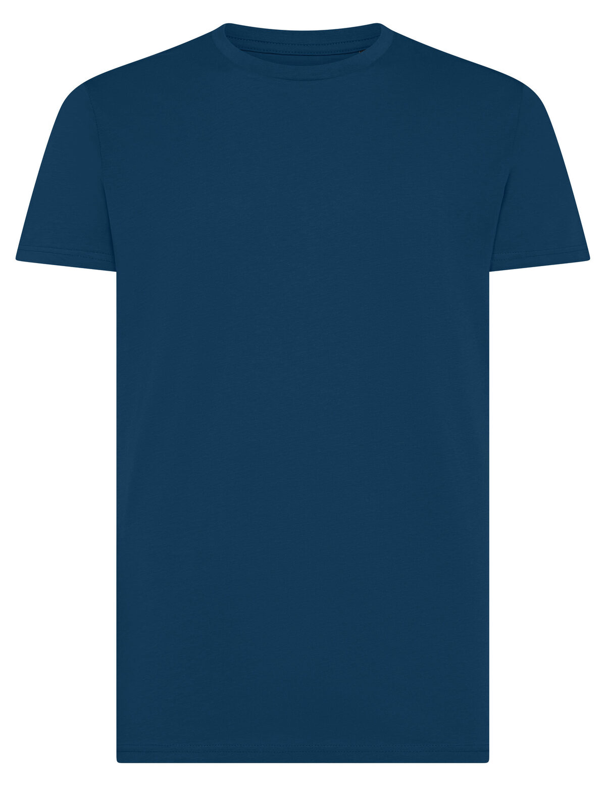 Évolution biologique T - IB - BLEU ENCRE