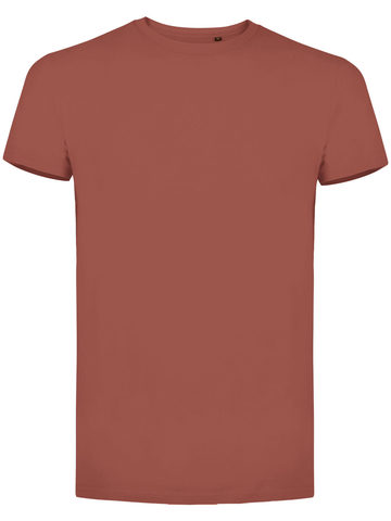 Évolution biologique T - 