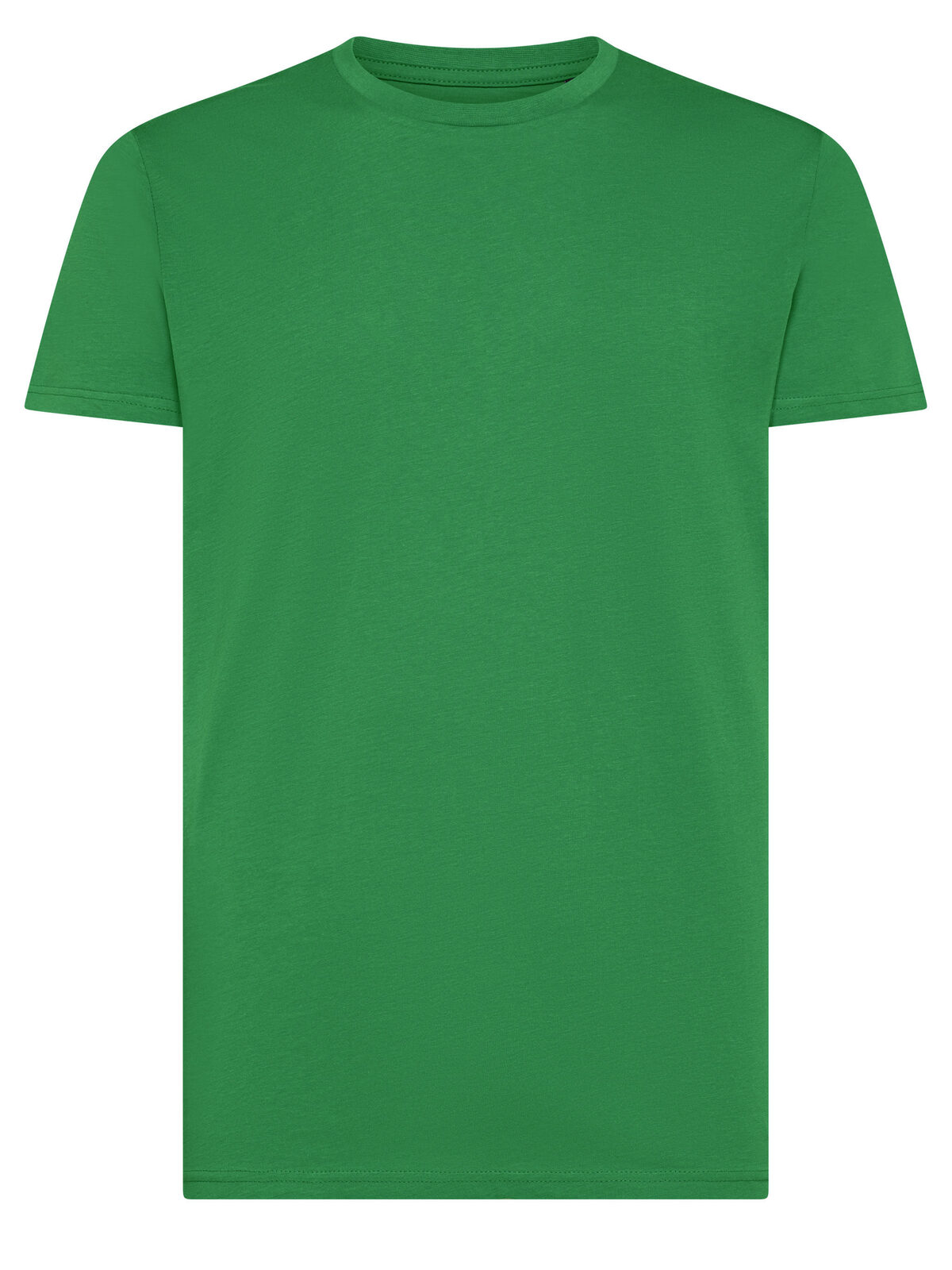 Évolution biologique T - KG - Kelly Green