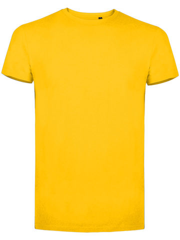 Évolution biologique T - 