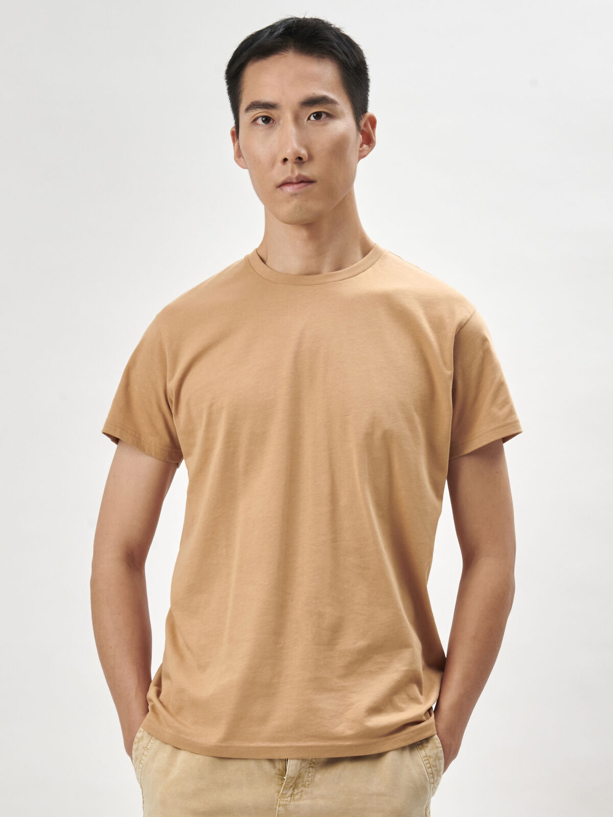 Évolution biologique T