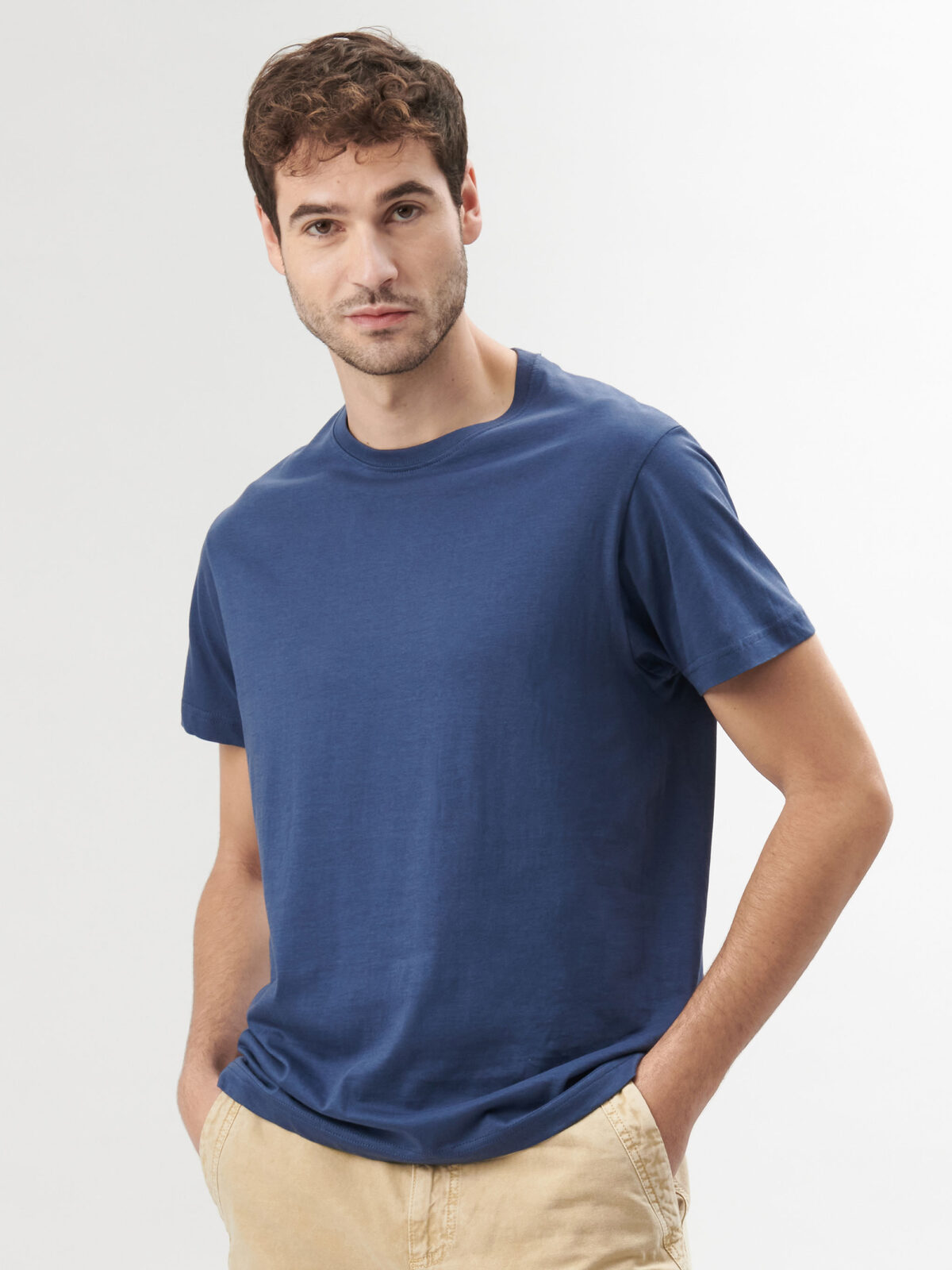 Évolution biologique T