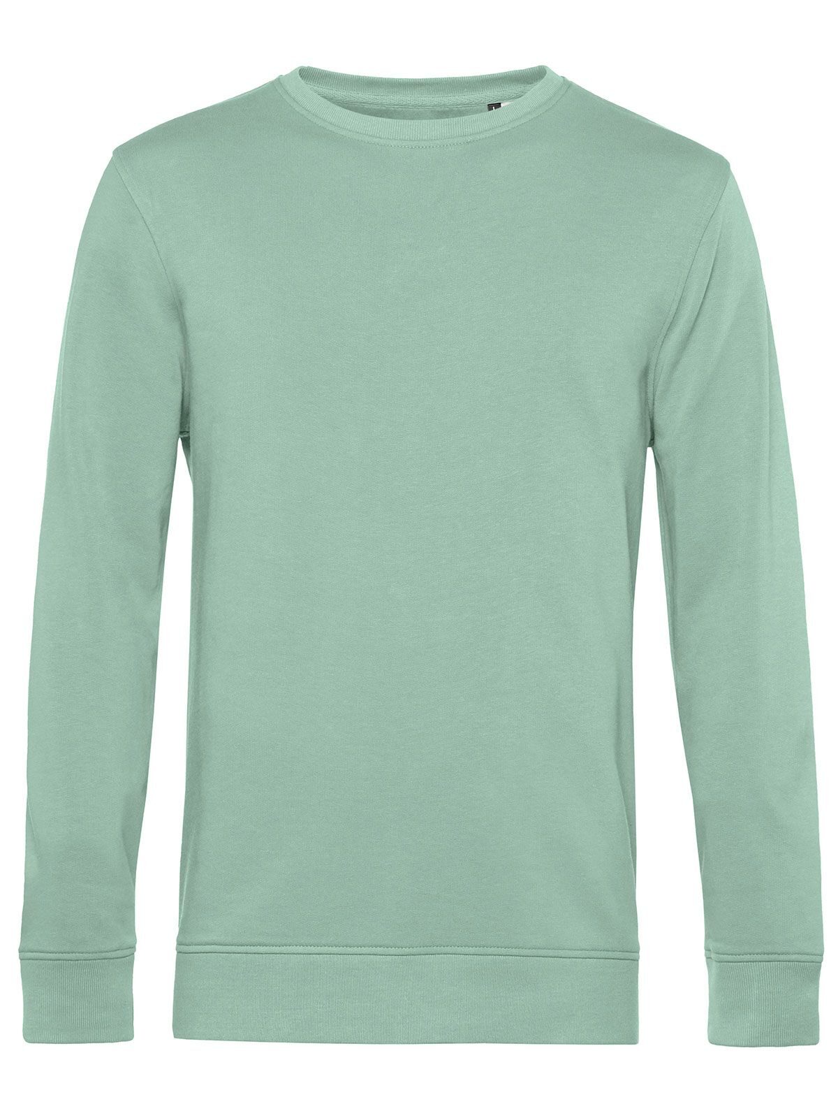 Pull-over Organic Inspire - SA502 - Sage