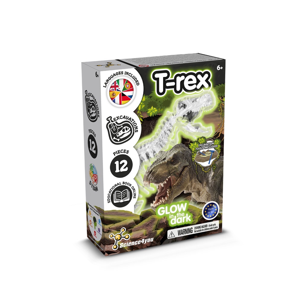 Kit de fouilles de fossiles I. Jeu éducatif pour enfants